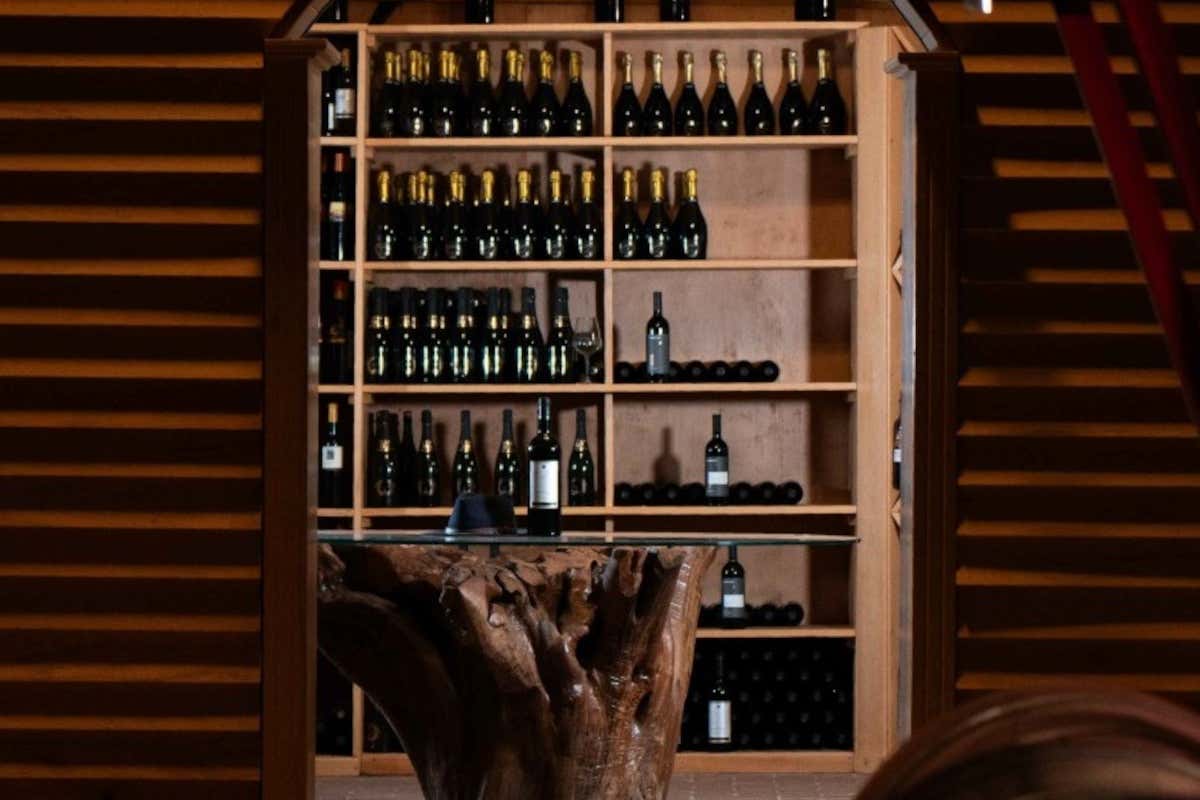 Vitigni autoctoni e sostenibilità: la missione di Librandi per il vino calabrese