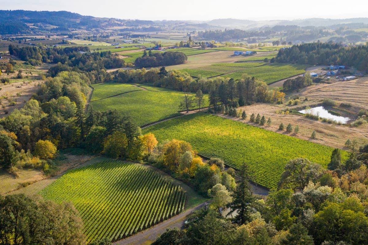 Santa Margherita sempre più americana: Roco Winery acquisisce Marsh Estate