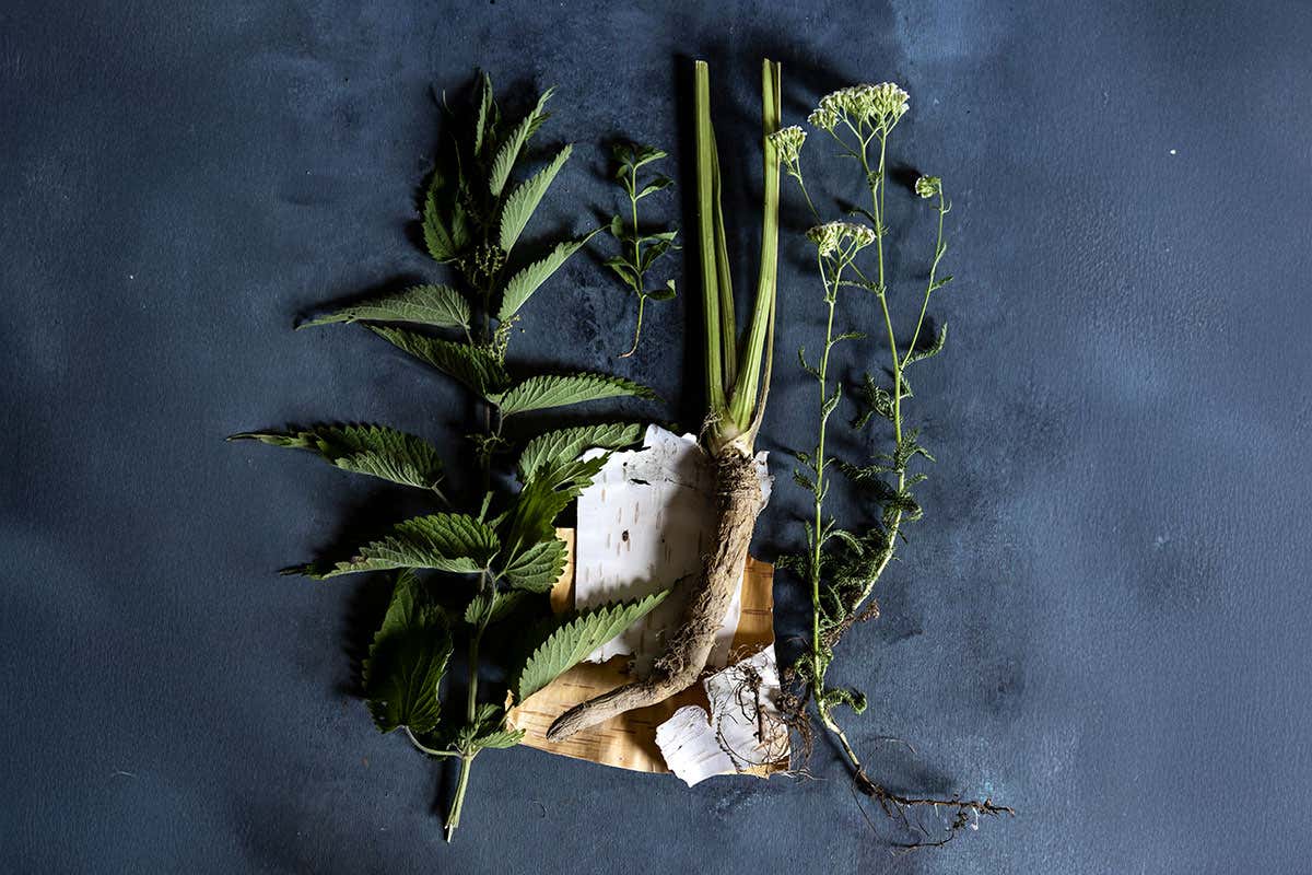 Feral: le bevande italiane che ricreano l’esperienza del vino, ma senza alcol Feral: le bevande italiane che ricreano l’esperienza del vino, ma senza alcol