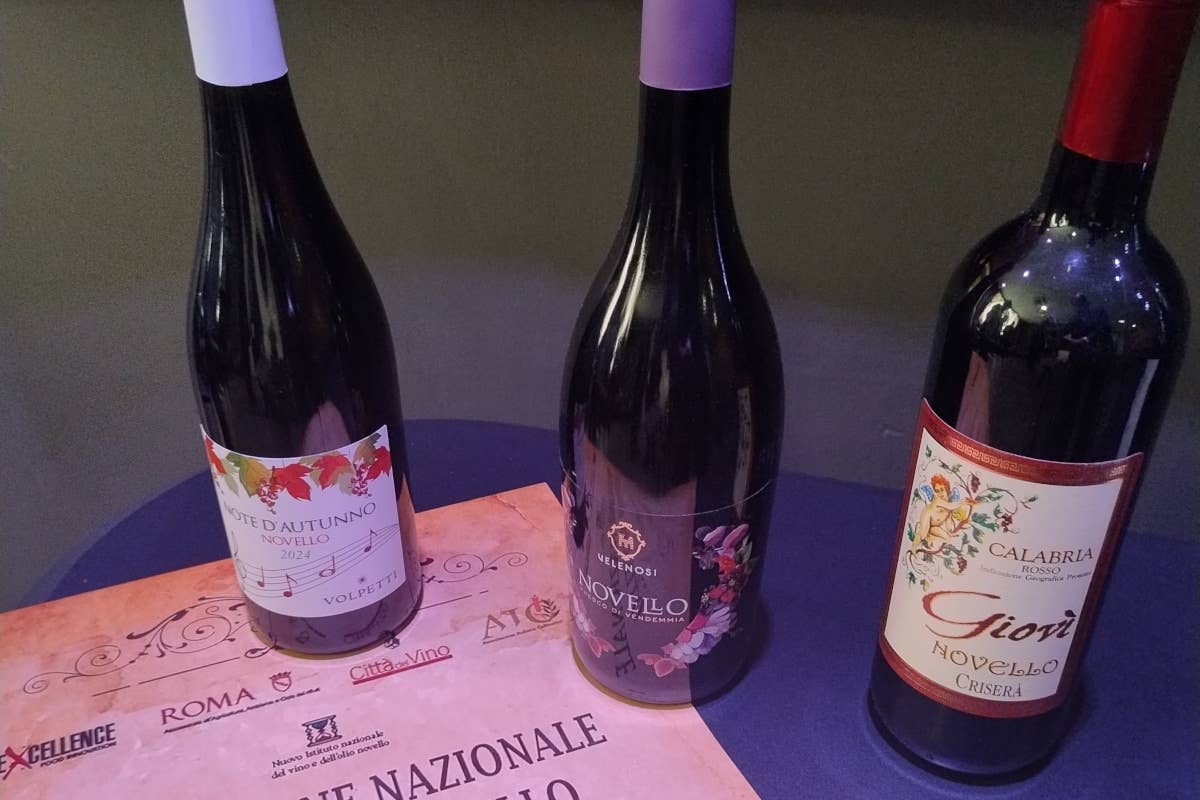 Vino novello: le Cantine Volpetti trionfano al Concorso nazionale di Roma