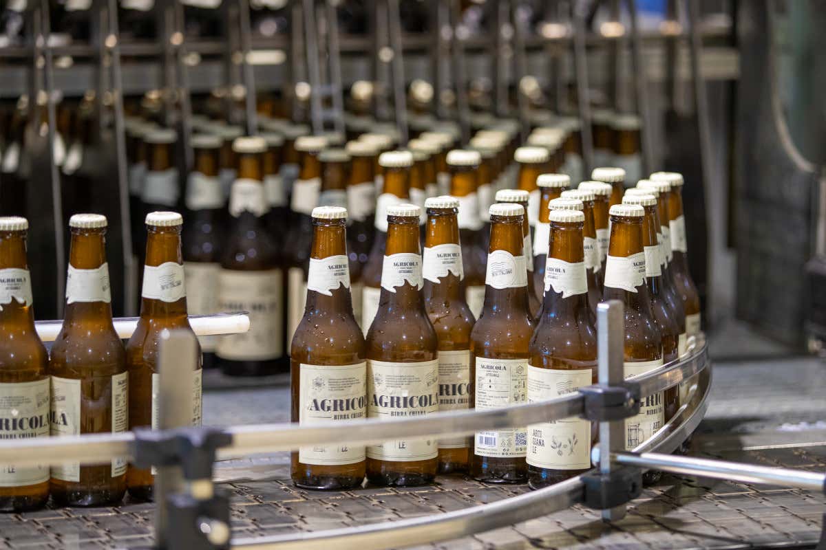 Come nasce una birra agricola in Puglia: la filiera che porta il Salento nel bicchiere Come nasce una birra agricola in Puglia: la filiera che porta il Salento nel bicchiere