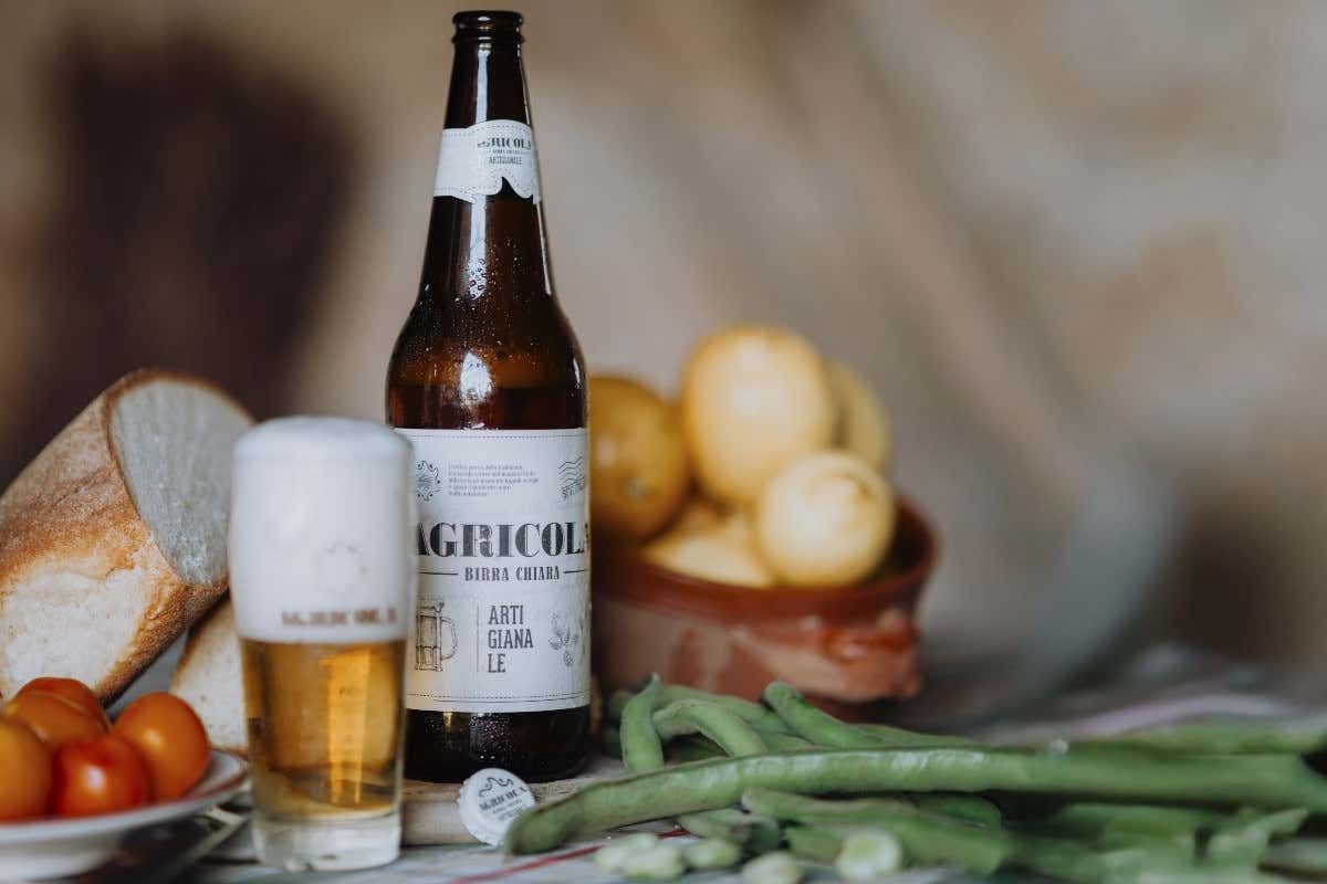 Come nasce una birra agricola in Puglia: la filiera che porta il Salento nel bicchiere Come nasce una birra agricola in Puglia: la filiera che porta il Salento nel bicchiere