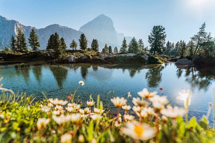 Vacanze sostenibili a Cortina Plastic free e banda larga