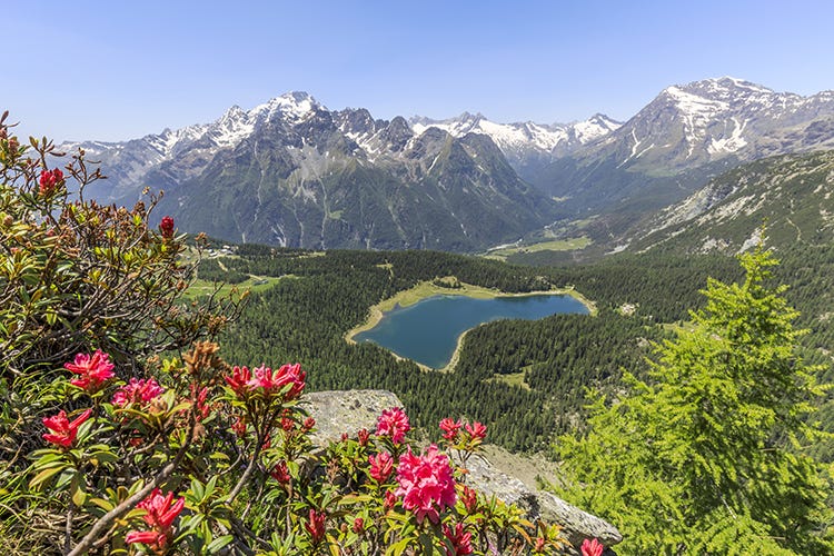 Valmalenco, Monte Roggione, vista del Lago Palù Un itinerario, un paninoLa guida golosa della Valtellina
