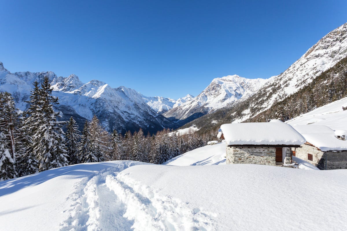 Inverno in Valtellina: esperienze da non perdere tra monti, alpeggi e bitto