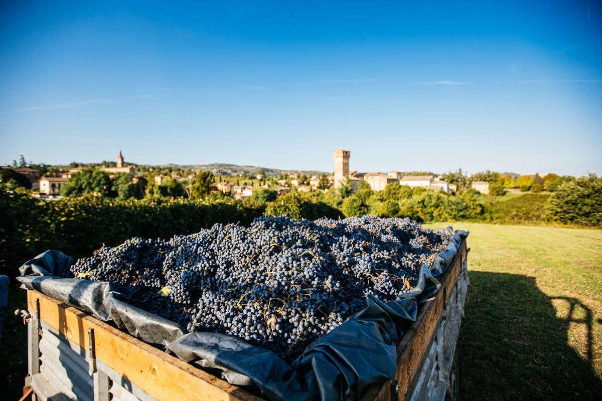 100 anni della Cantina Settecani a Verona festeggia con il Lambrusco Grasparossa premiato al Salone