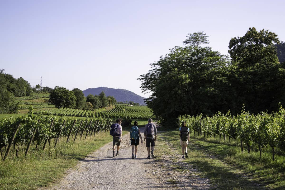 Cinque cammini imperdibili per gli amanti del trekking lento in provincia di Brescia