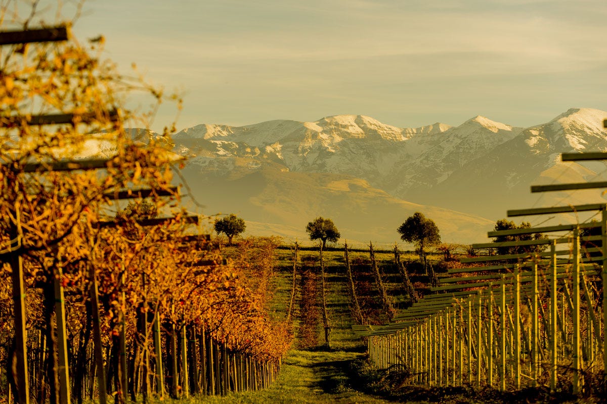 Abruzzo, una terra di vini in crescita tra tradizione e innovazione