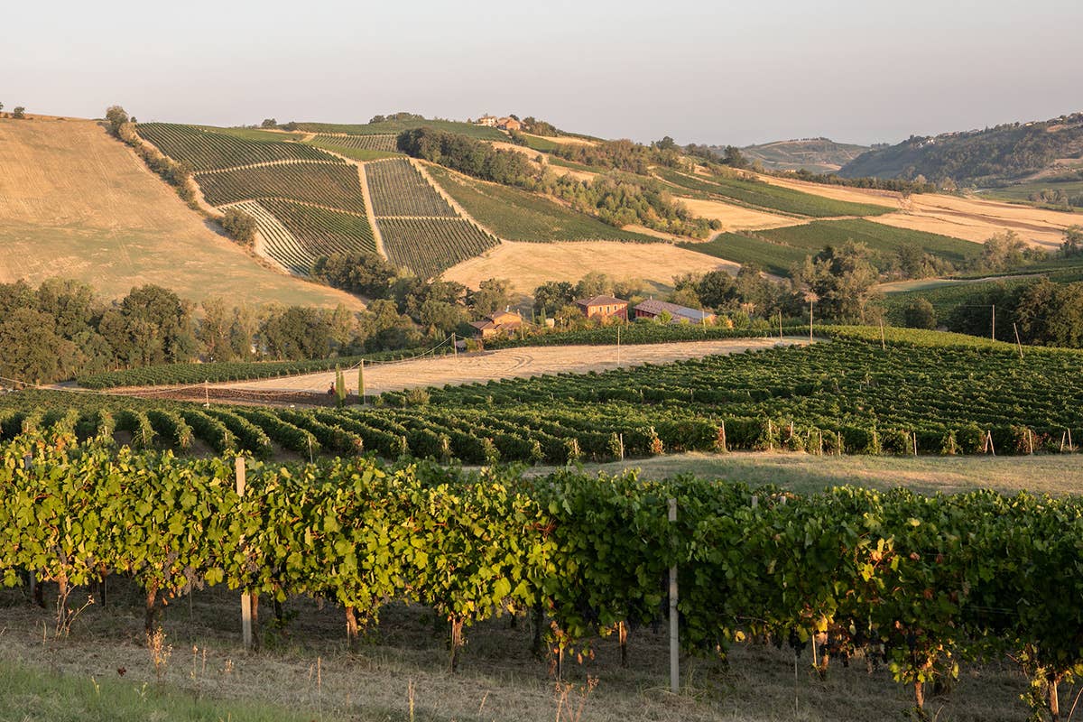 Scoprire il territorio dell'Oltrepò Pavese con i vini de La Genisia