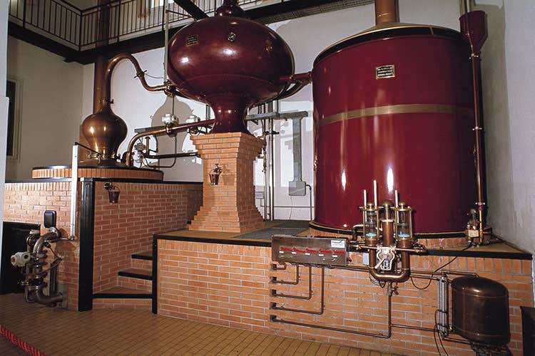 Alambicco (Villa Zarri Brandy artigianale italiano)