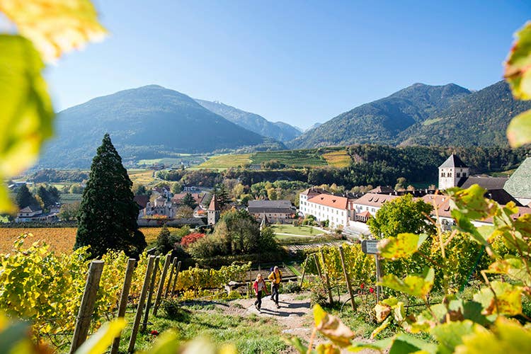 (Vino novello e castagne arrosto L'autunno a tavola in Alto Adige)