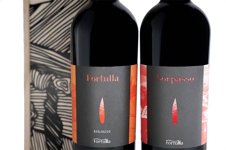 Sorpasso Bio Fortulla - La fitta trama tannica del Sorpasso Supertuscan firmato Fulvio Martini