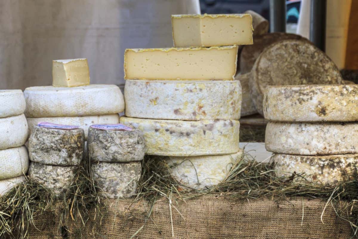 Viaggio in Valsesia: alla scoperta di storia, natura e sapori autentici Viaggio in Valsesia: alla scoperta di storia, natura e sapori autentici