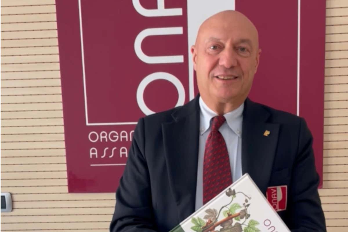 Vini dealcolati, per l'Onav sono «prodotti assolutamente insostenibili»
