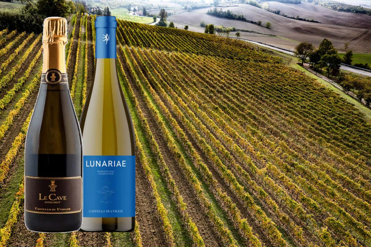 Cantina Castello di Uviglie: una storia tra vino, territorio e famiglia nel Monferrato Cantina Castello di Uviglie: una storia tra vino, territorio e famiglia nel Monferrato