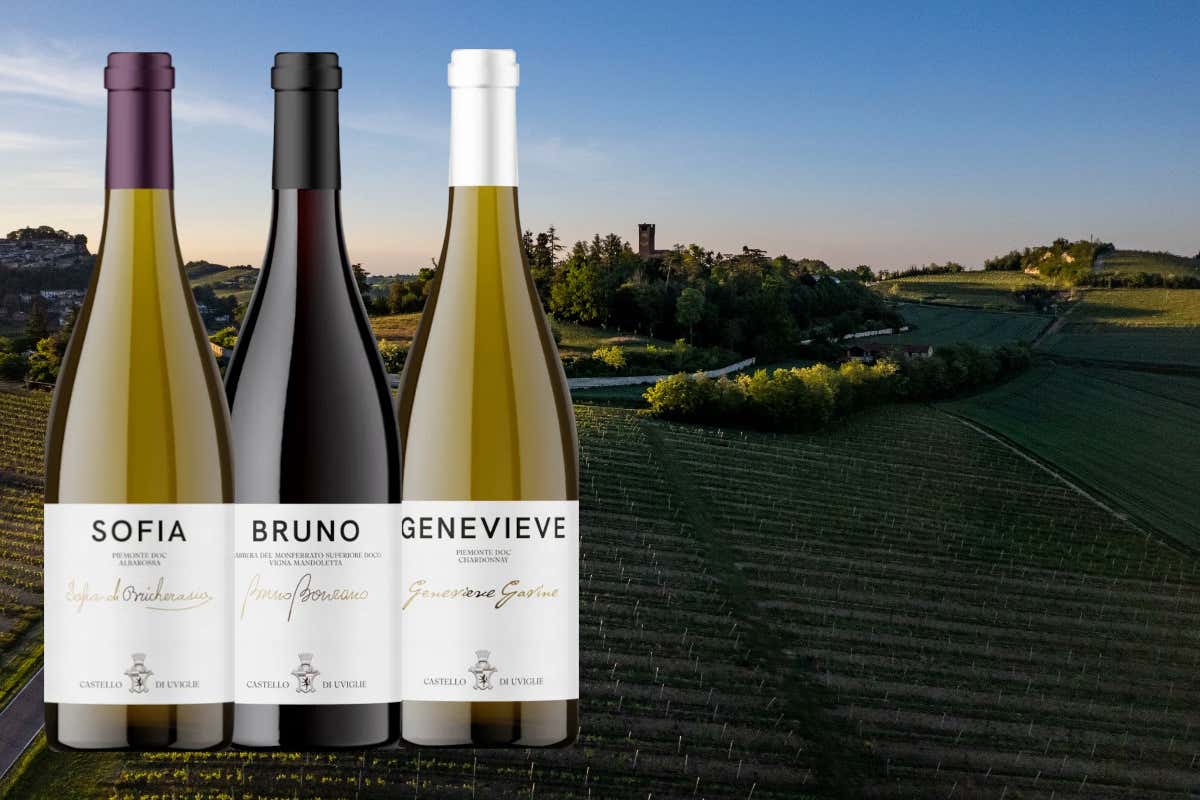 Cantina Castello di Uviglie: una storia tra vino, territorio e famiglia nel Monferrato Cantina Castello di Uviglie: una storia tra vino, territorio e famiglia nel Monferrato