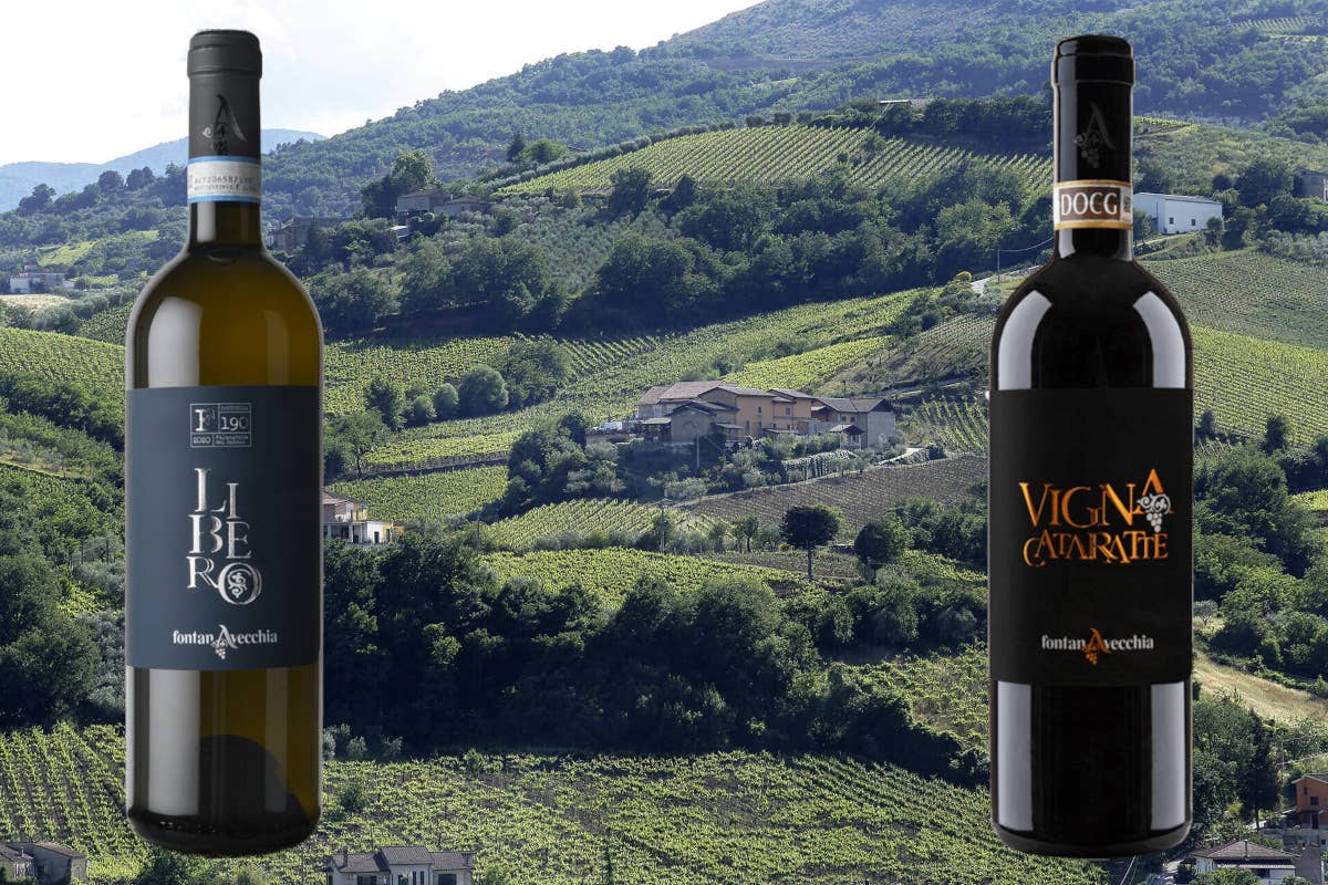 Fontanavecchia: eccellenza vinicola del Sannio tra Aglianico e Falanghina