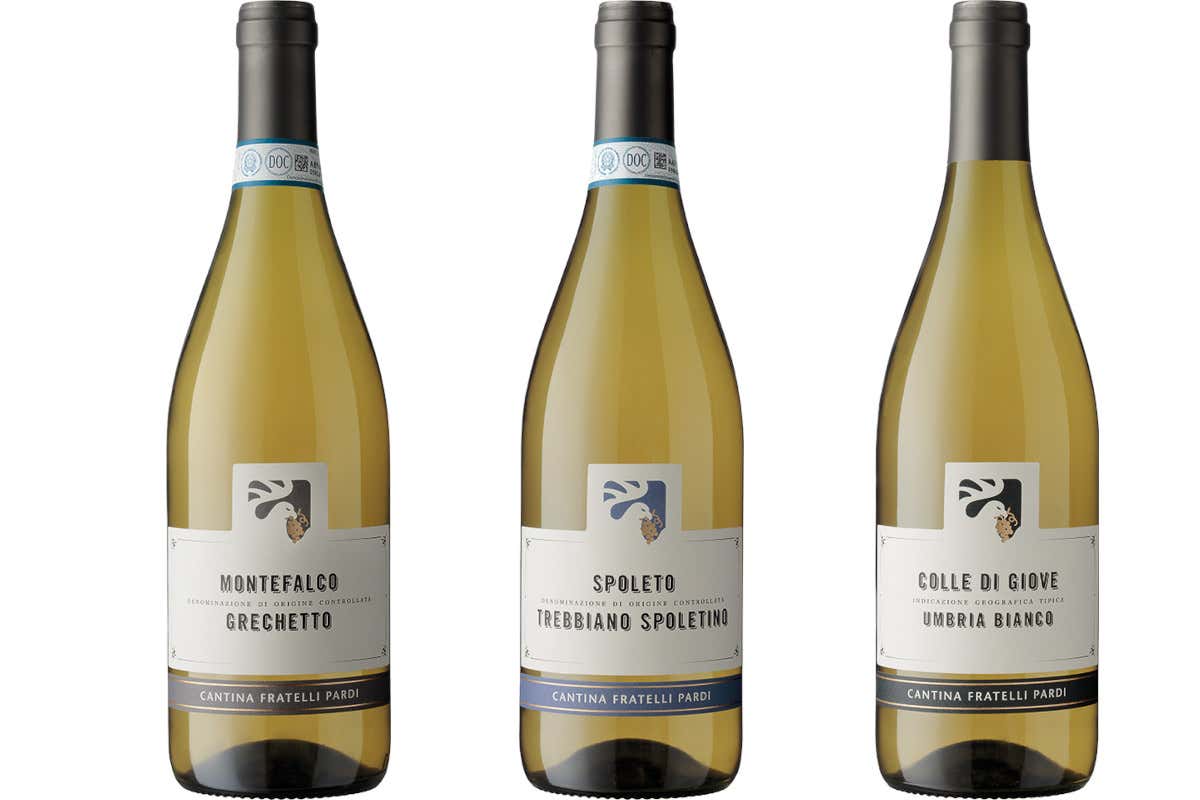 Fratelli Pardi: dalla bollicina al Sagrantino Passito, una collezione che racconta il territorio