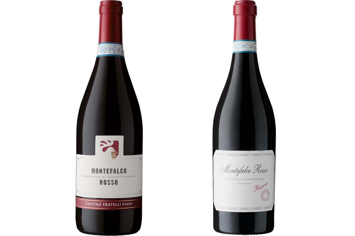 Fratelli Pardi: dalla bollicina al Sagrantino Passito, una collezione che racconta il territorio