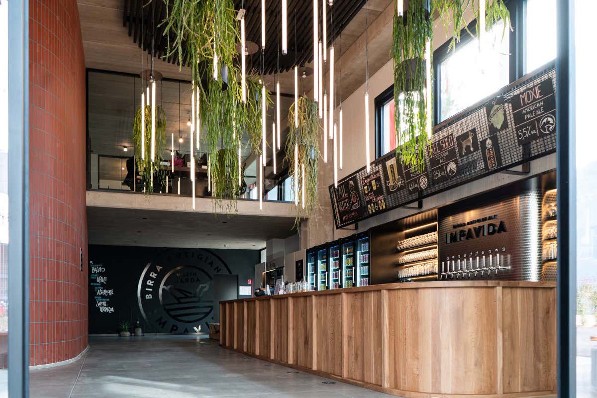 Dal Garda al bicchiere: il progetto Impavida tra birra, agrumi e identità