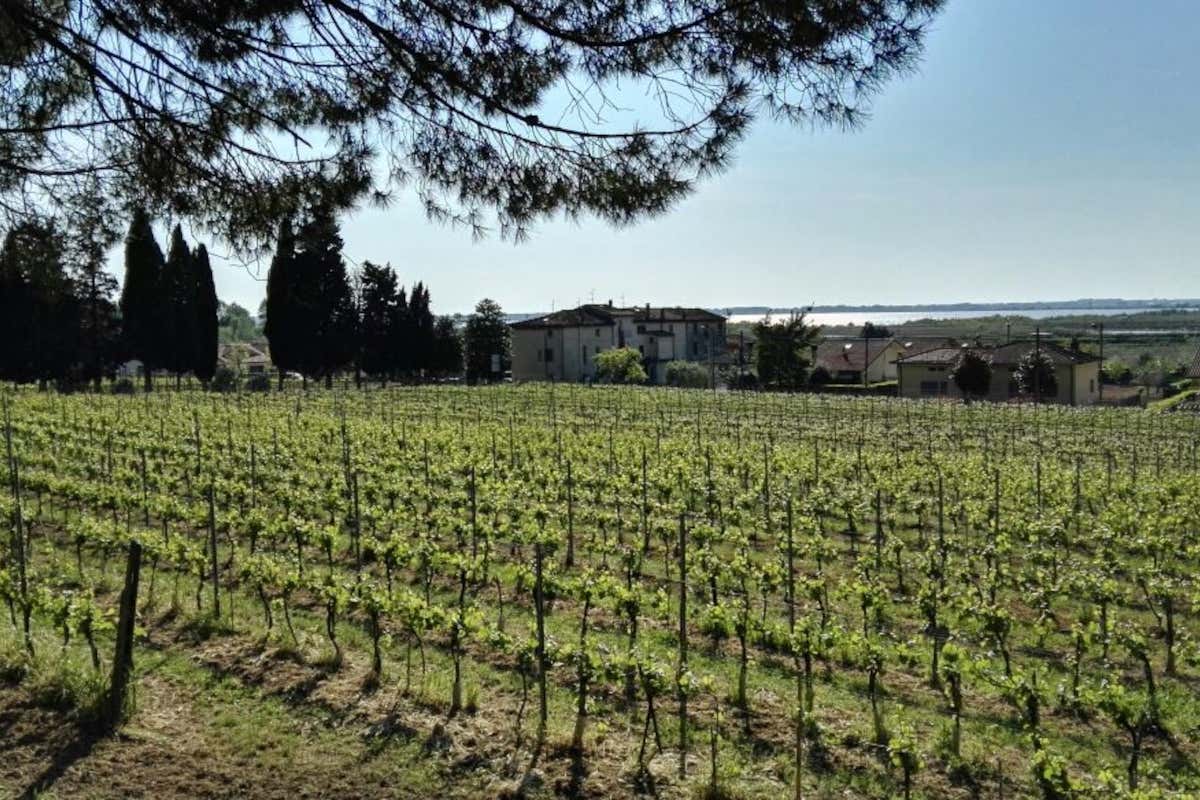 Emilia in rosa: l'11ª tappa del Giro d'Italia tra Viareggio e Castelnovo ne' Monti Emilia in rosa: l'11ª tappa del Giro d'Italia tra Viareggio e Castelnovo ne' Monti