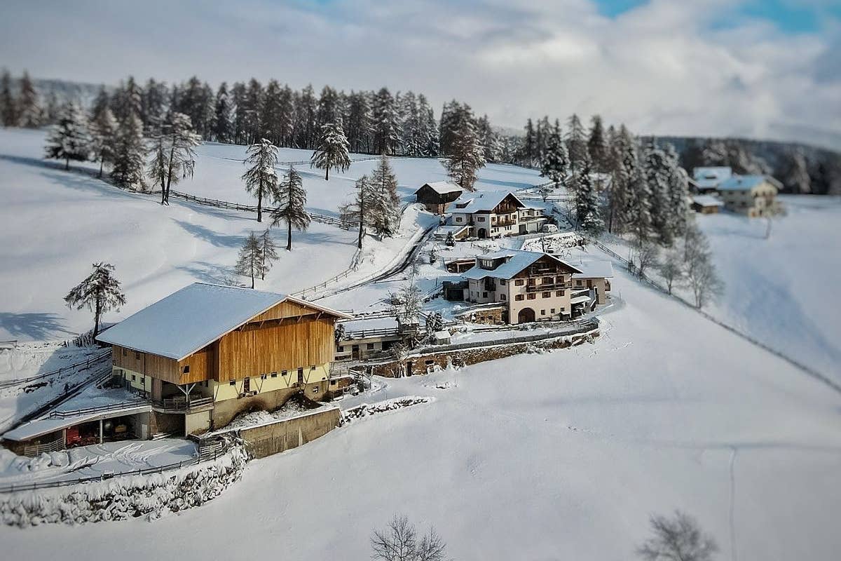 Oberfahrerhof: attività equestri e relax per tutta la famiglia in montagna