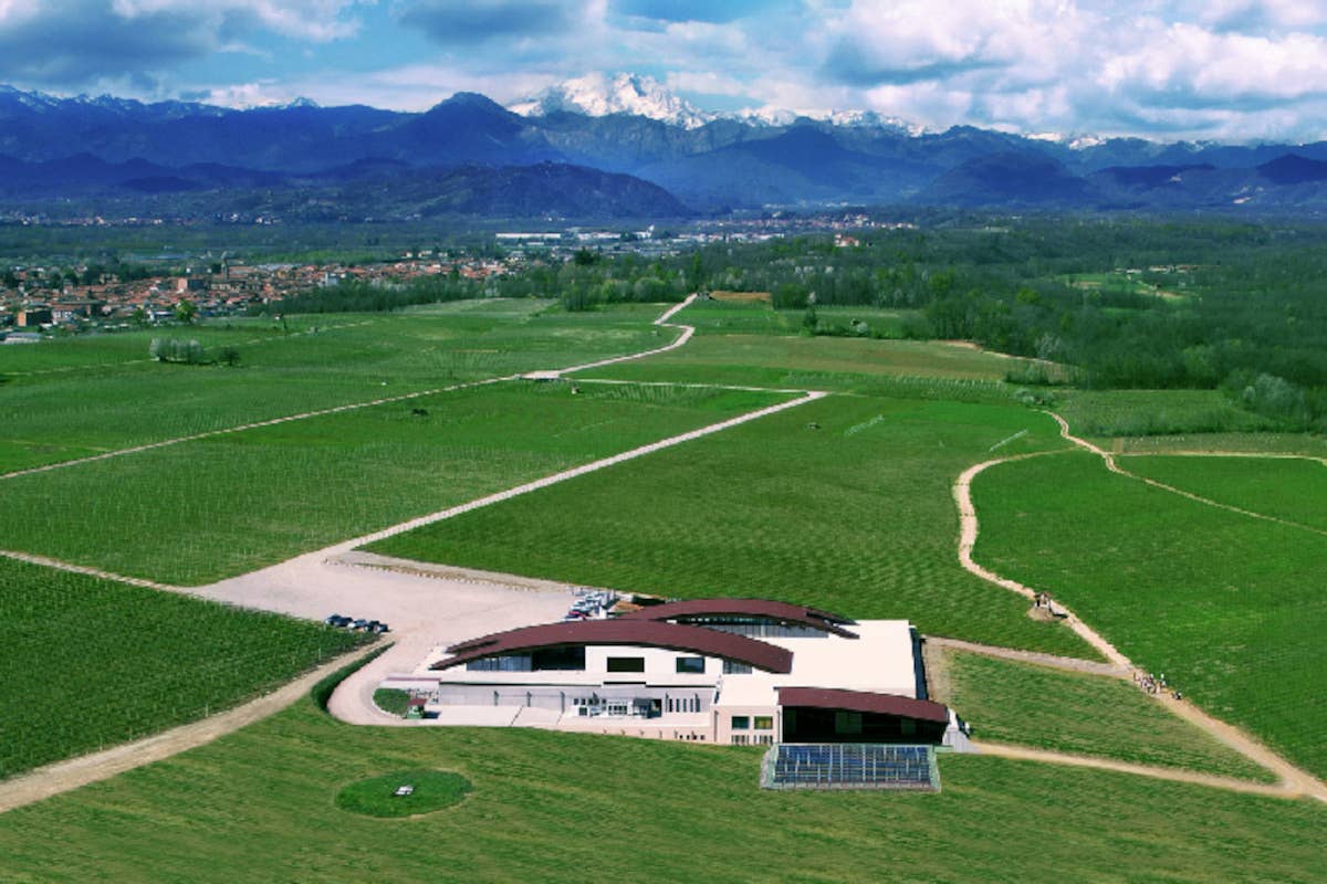 La Piemontina celebra il Nebbiolo Day tra tradizione e innovazione