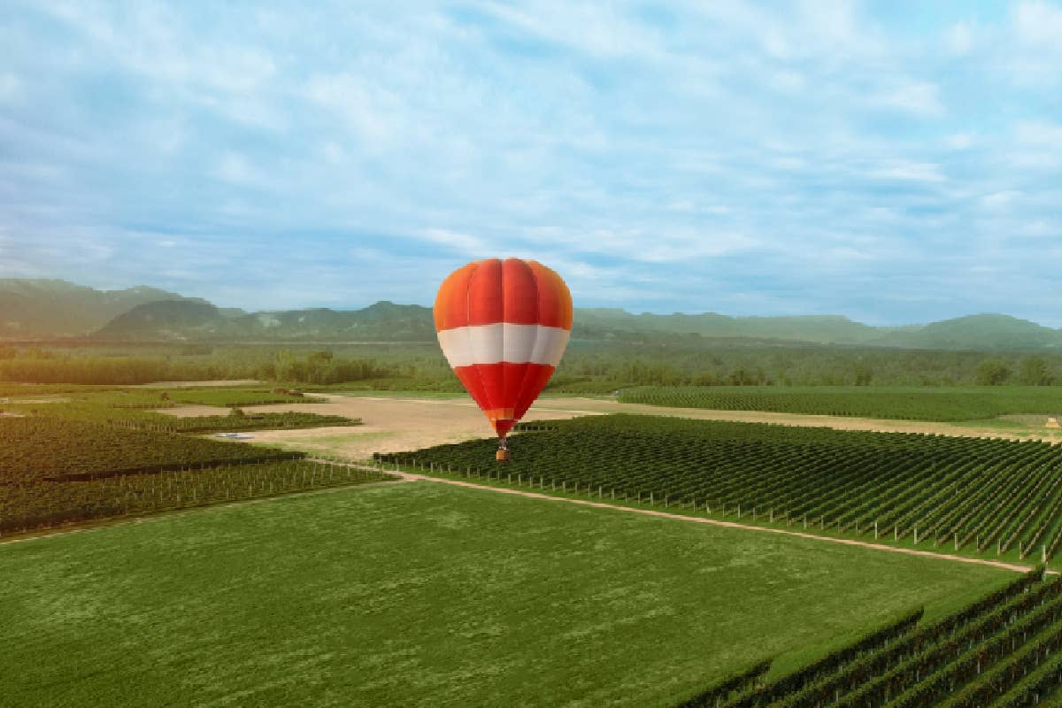 La Piemontina celebra il Nebbiolo Day tra tradizione e innovazione