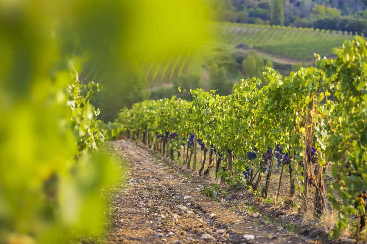 Umbria in rosa: la 9ª tappa del Giro d'Italia tra Gubbio e Siena Umbria in rosa: la 9ª tappa del Giro d'Italia tra Gubbio e Siena