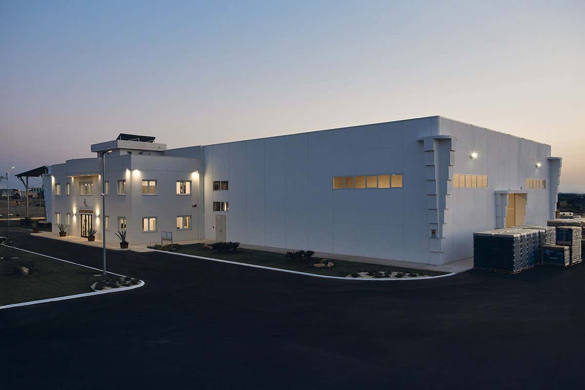 Tinazzi e Jonian Dolphin Conservation: una linea di vini per salvare i delfini Tinazzi e Jonian Dolphin Conservation: una linea di vini per salvare i delfini