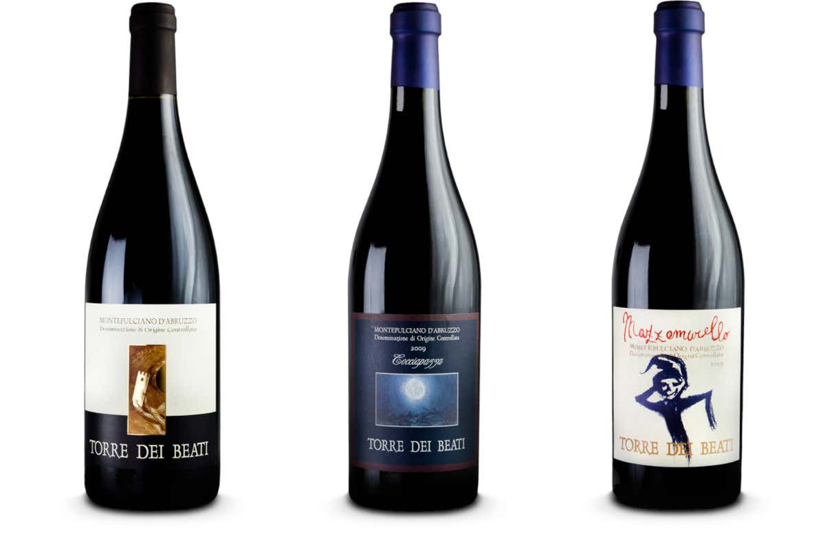 Dalla freschezza dei bianchi alla profondità dei rossi: il percorso di Torre dei Beati