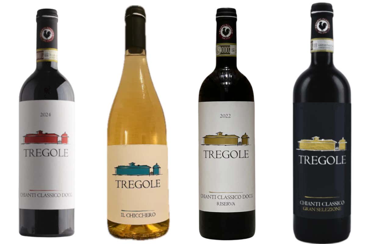 A Tregole il Sangiovese racconta una lettura contemporanea della tradizione