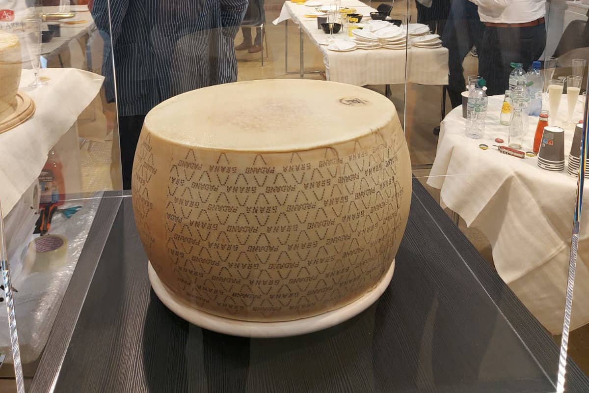 Grana Padano Dop: a B2Cheese la prima forma tracciata in Blockchain