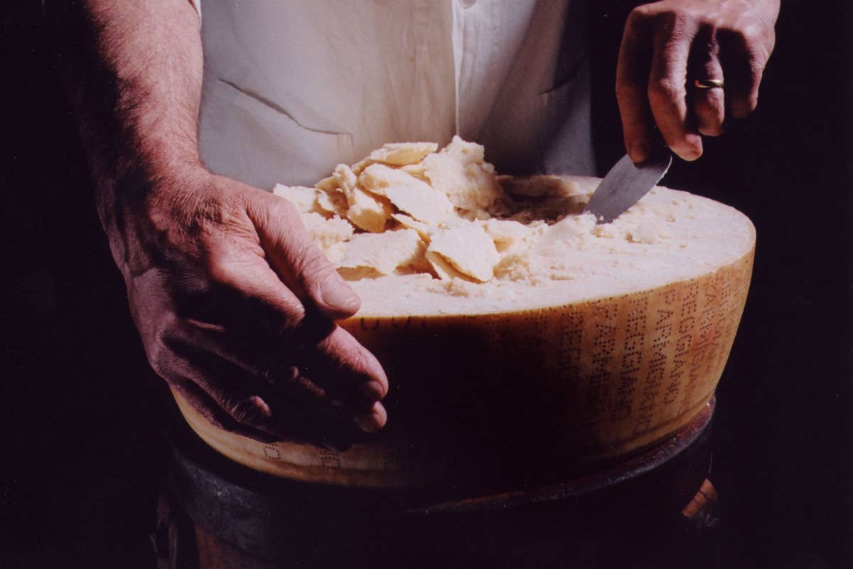 Dalla cucina al piatto: l'amore di cinque chef per il Parmigiano Reggiano