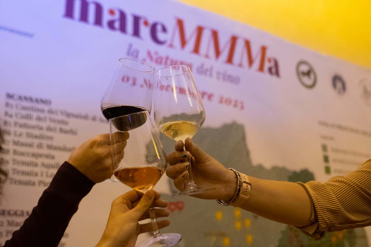 La nuova Maremma del vino: piccole cantine, grandi storie e una biodiversità unica in Italia