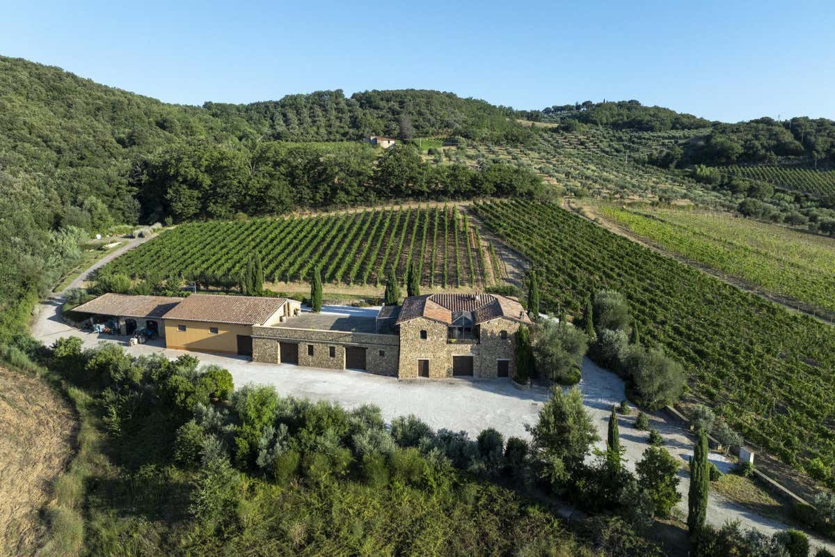 Cecchi, Brunello 2020 e Rosso 2023: le prime due etichette di Aminta svelate a Firenze Cecchi, Brunello 2020 e Rosso 2023: le prime due etichette di Aminta svelate a Firenze