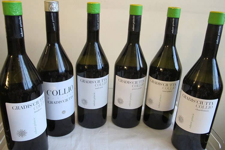 I vini sono tutti prodotti con il 100% della varietà dichiarata - Zoom tasting a Gradis’ciuttaComplessa e ricca l’annata 2019