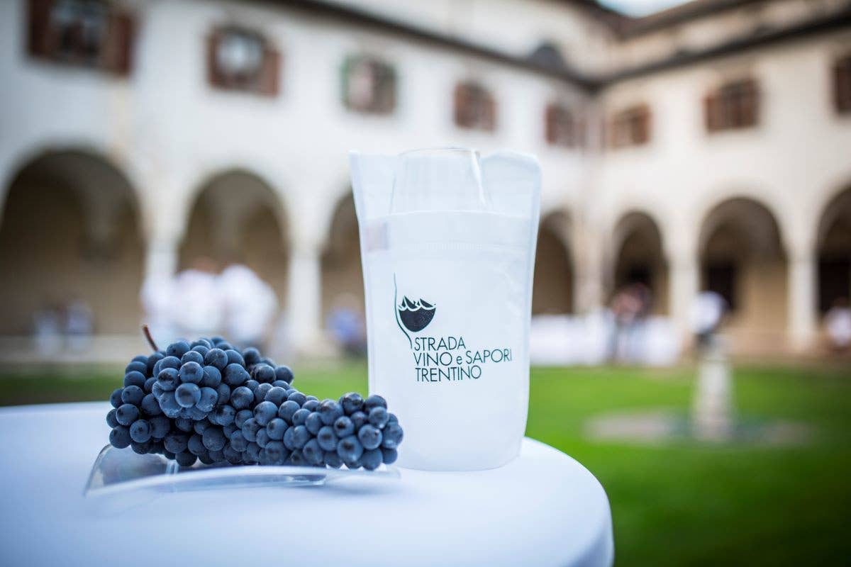 (Foto M. Facci) A tutto Teroldego, viaggio alla scoperta del vino trentino