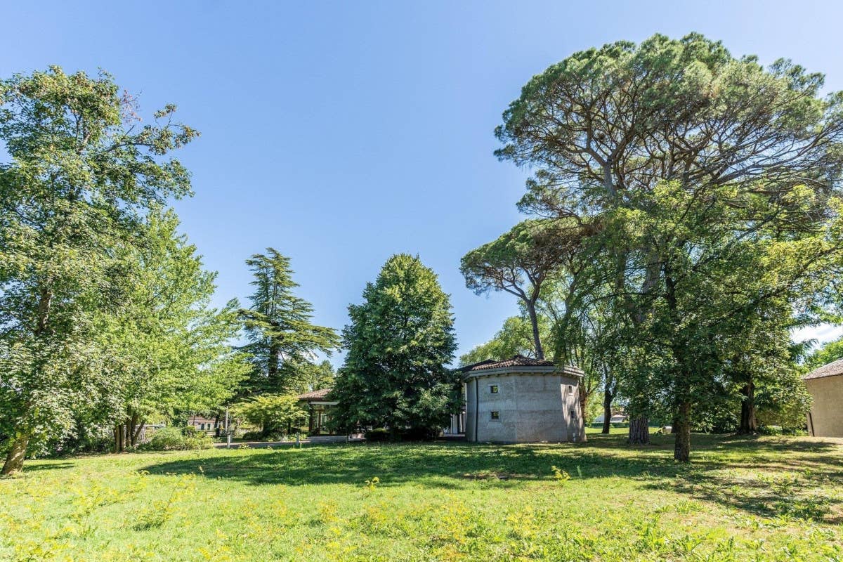 All'Accademia Vine Lodge si respira la cultura della vite e del vino