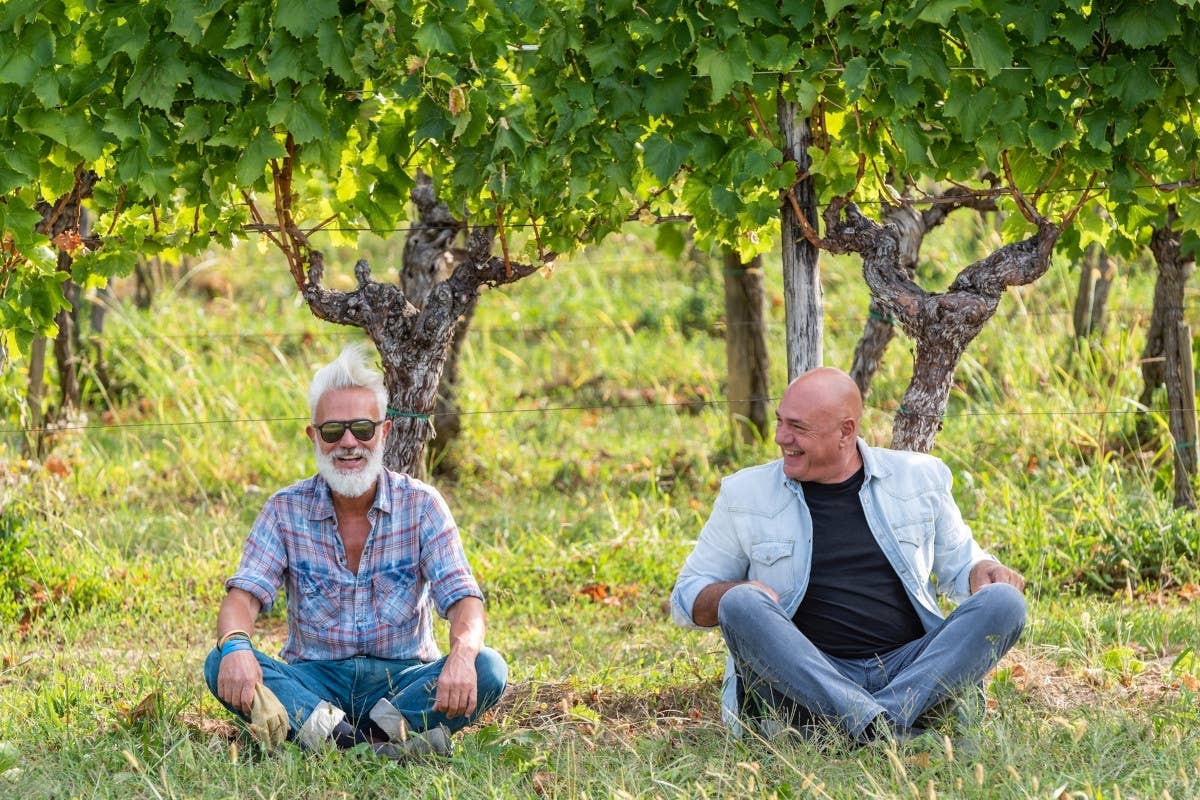 All'Accademia Vine Lodge si respira la cultura della vite e del vino