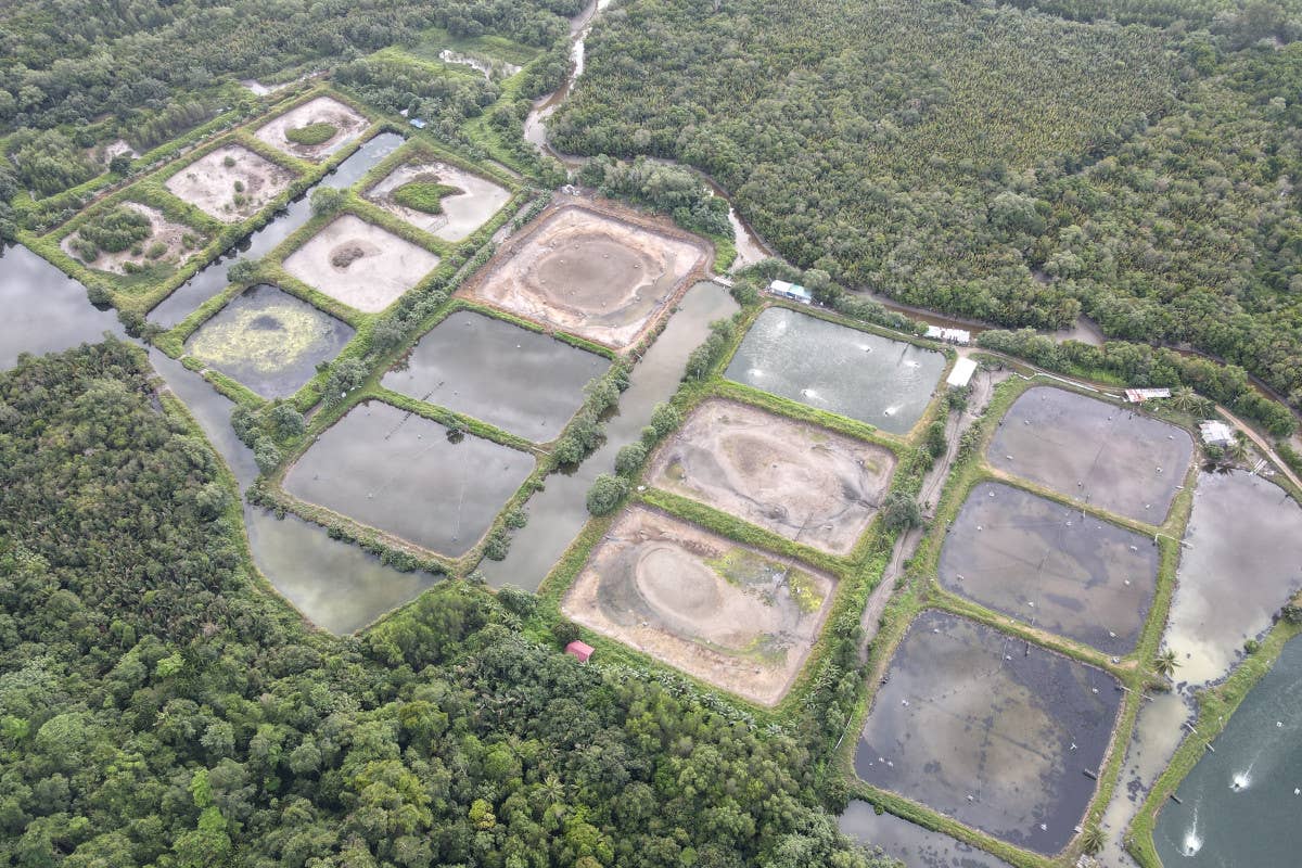 Acquacoltura sostenibile: la Regione Lombardia investe 1,5 milioni di euro