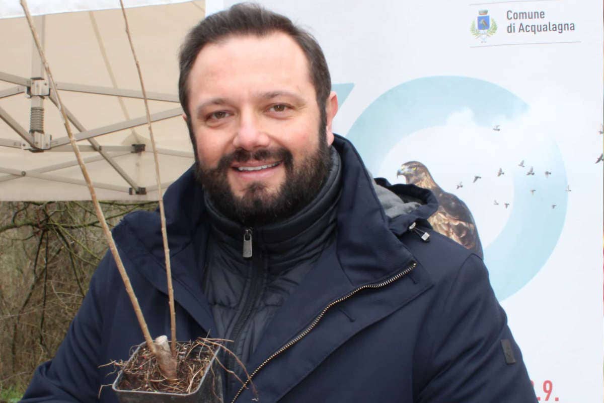 Acqualagna, la svolta: arriva la prima tartufaia di Bianco pregiato