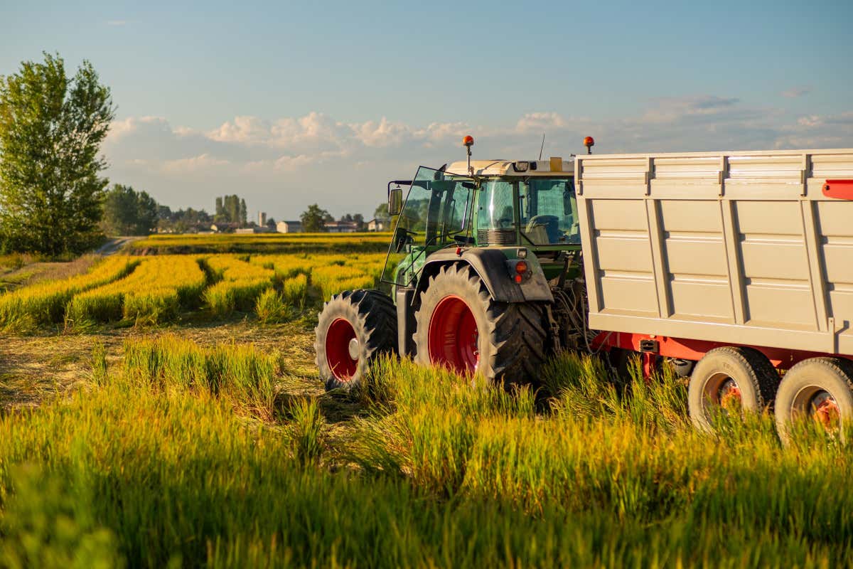 Brescia, Cremona, Lodi e Mantova insieme per l’agroalimentare del futuro Brescia, Cremona, Lodi e Mantova insieme per l’agroalimentare del futuro
