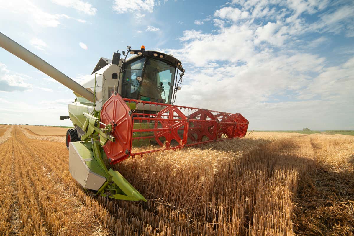Brescia, Cremona, Lodi e Mantova insieme per l’agroalimentare del futuro Brescia, Cremona, Lodi e Mantova insieme per l’agroalimentare del futuro