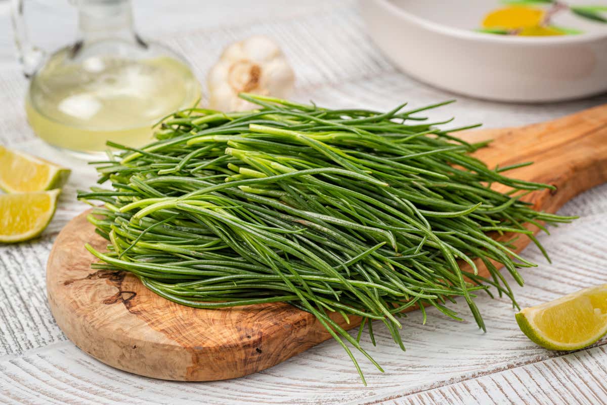 Agretti (o barba di frate): che cosa sono, i benefici e come cucinarli Agretti (o barba di frate): che cosa sono, i benefici e come cucinarli