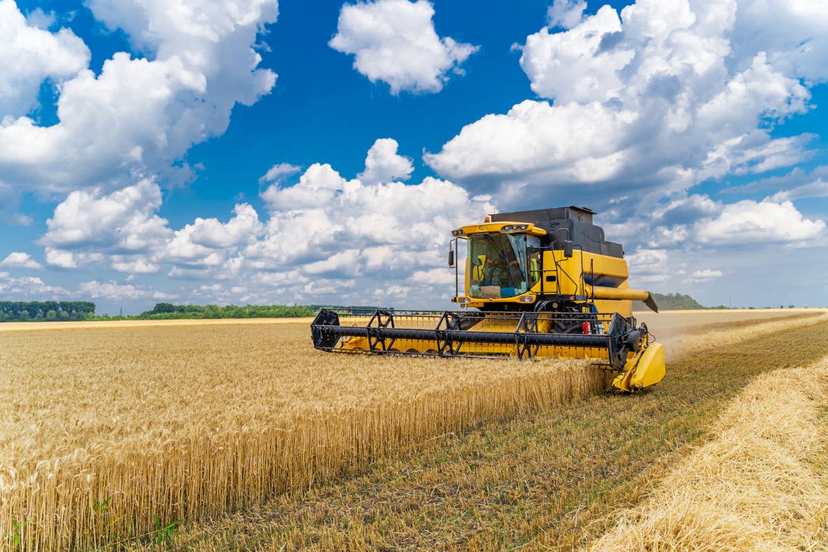 Un agricoltore su una mietitrebbiatrice Ucraina l'Ue finanzia un progetto da 15 milioni di dollari per gli agricoltori