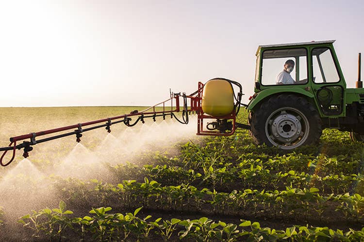 L'agricoltura italiana è prima in Europa nel 2020 - L'agricoltura italiana vice la crisi Prima in Europa nel 2020