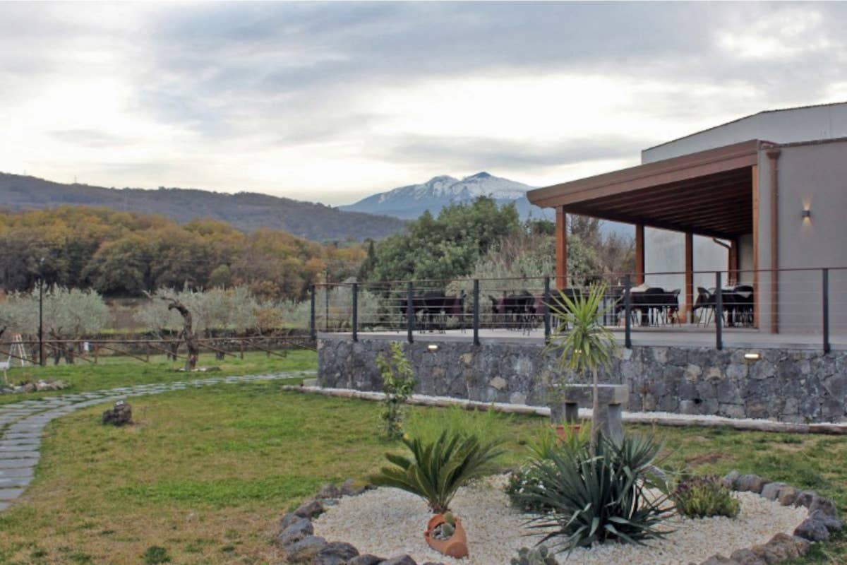 Dall'Etna alla tavola: un Ponte gastronomico tra storia e natura