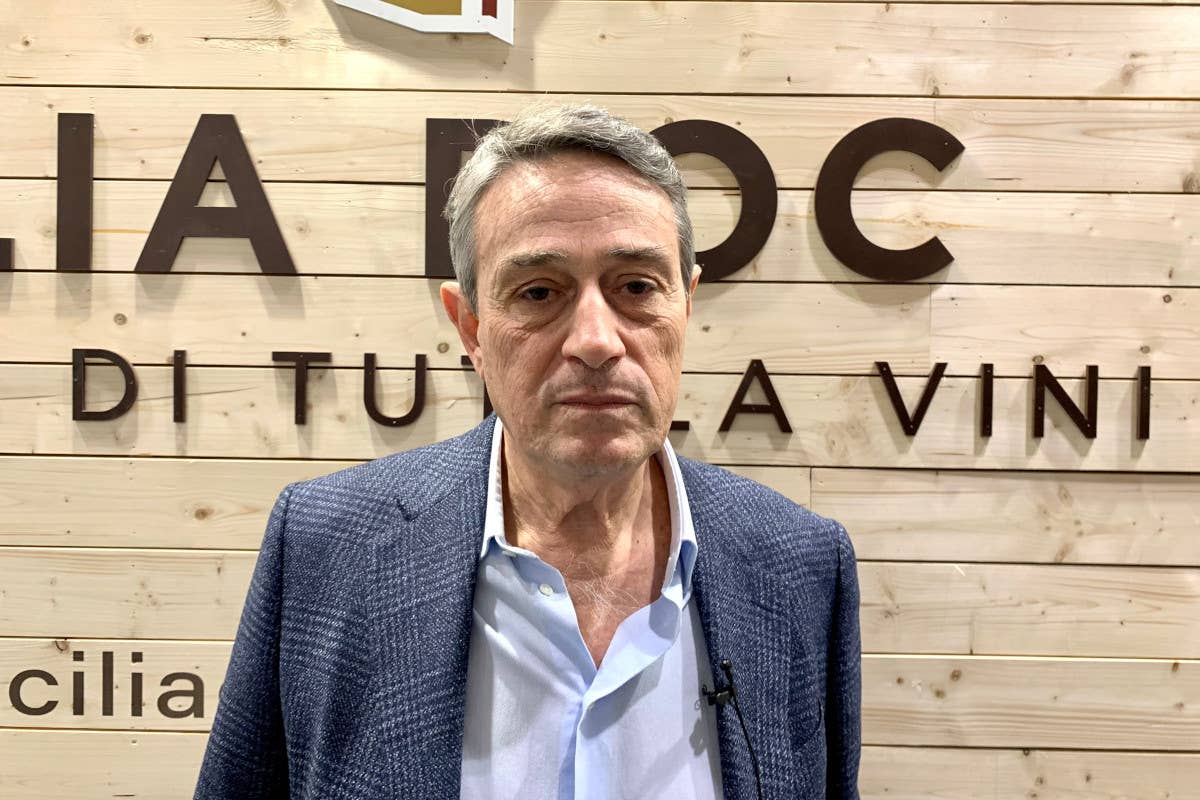 Consorzio di Tutela Vini Doc Sicilia c'è la partnership con Soste di Ulisse