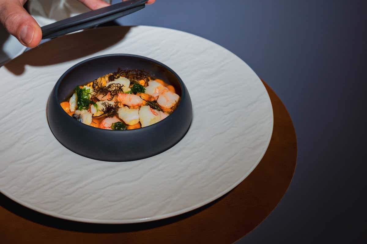 Guida Michelin Italia: altri 8 nuovi ristoranti nell'edizione 2026 Guida Michelin Italia: altri 8 nuovi ristoranti nell'edizione 2026